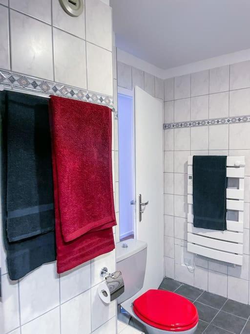 Apartmán Lumineux Avec Vue Sur Les Vosges Colmar Exteriér fotografie